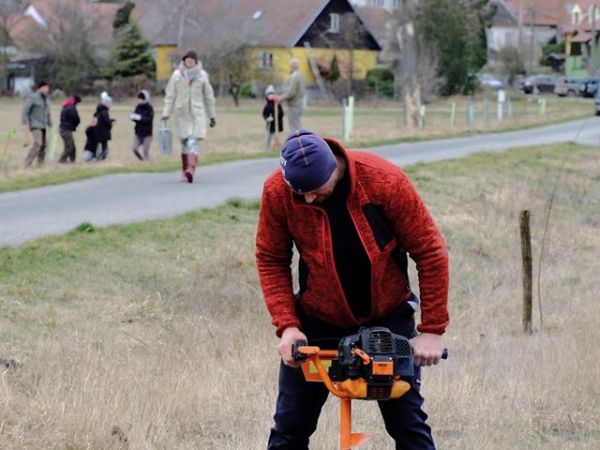 Vysadili jsme 50 Ladovských vrb