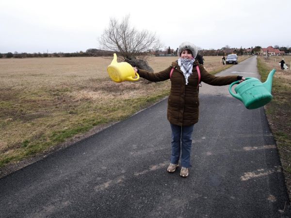 Vysadili jsme 50 Ladovských vrb