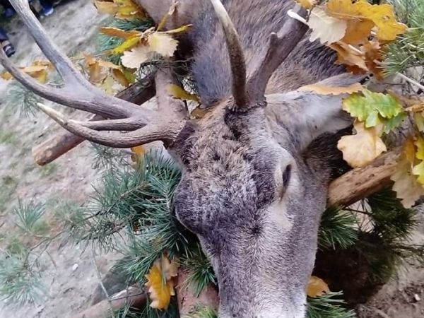 Svatohubertské mše 2012 - 2018