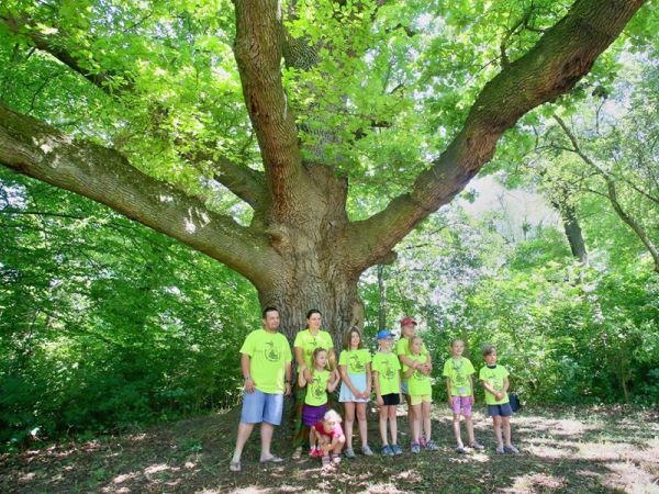 Přihlásili jsme lednického zástupce do soutěže o strom roku