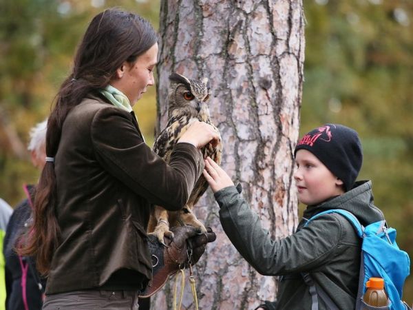 XI. Svatohubertská mše