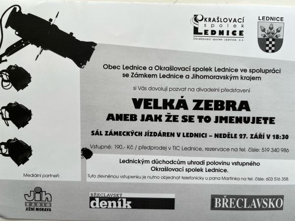 Kulturní aktivity spolku